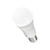 Bulb lights